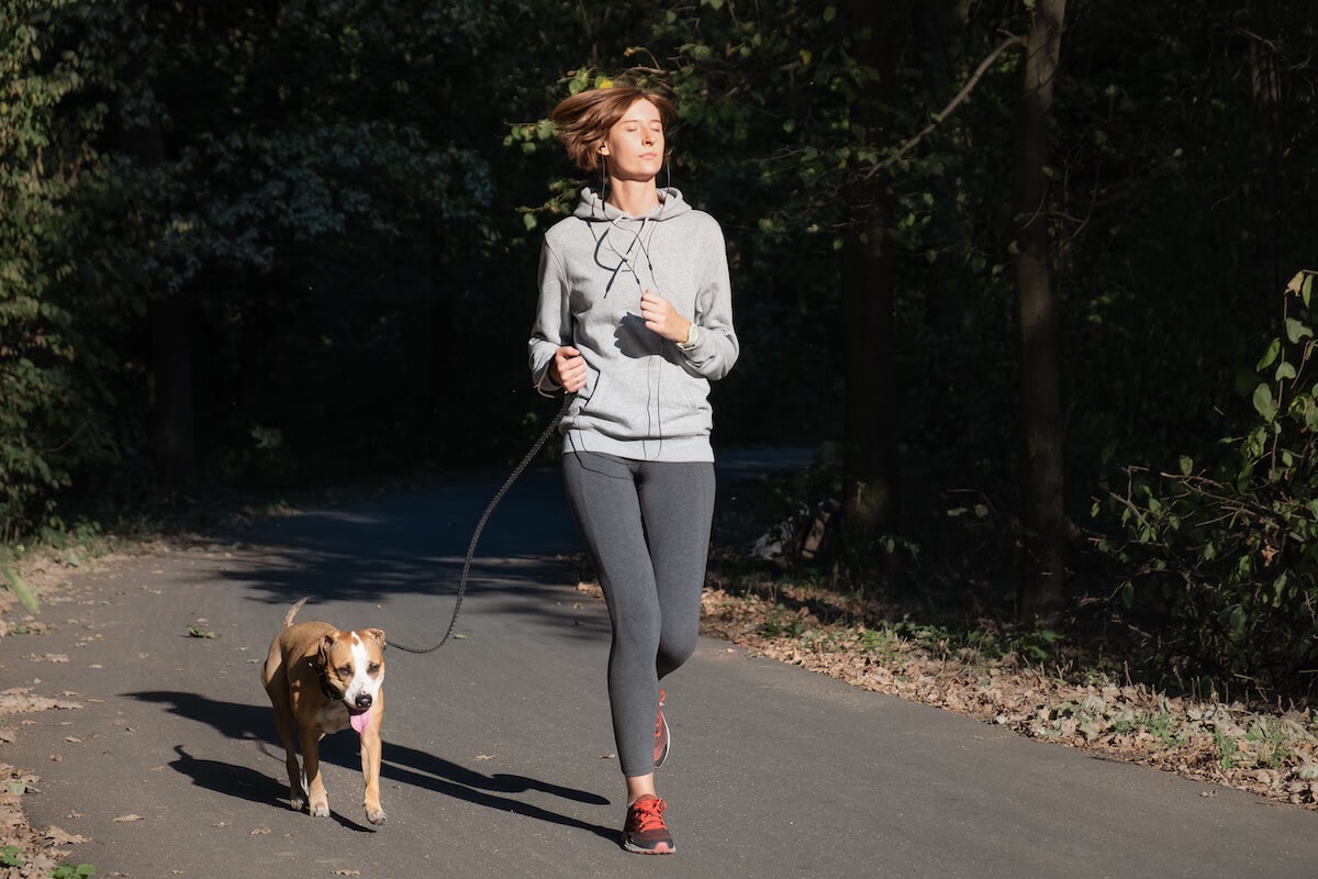 How Much Exercise Does My Dog Need Everyday?